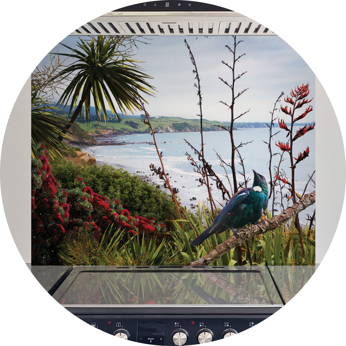 Glass splashbacks image